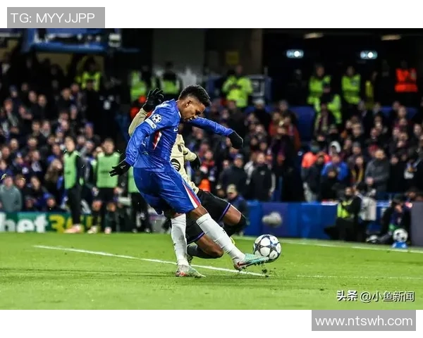 安帅:心里已有世界杯中心结构 具有埃斯特旺巴西未来就有保证 安帅:心里已有世界杯中心结构 具有埃斯特旺巴西未来就有保证