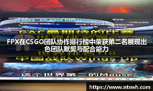 FPX在CSGO团队协作排行榜中荣获第二名展现出色团队默契与配合能力