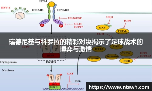 瑞德尼基与科罗拉的精彩对决揭示了足球战术的博弈与激情